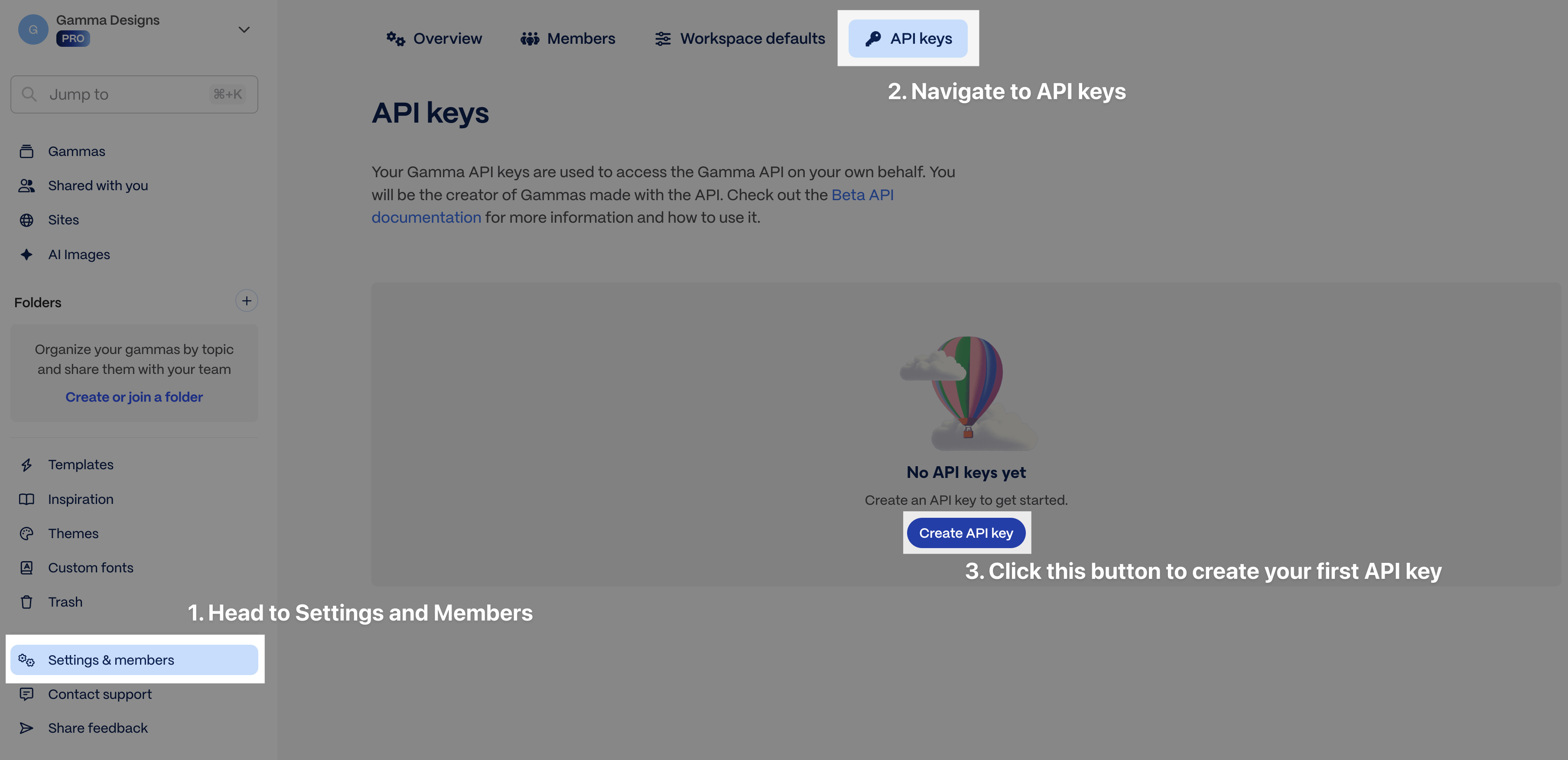 API key settings in Gamma